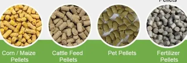 info-609-207 info-609-207