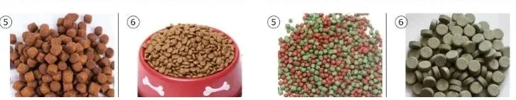 20251017165041 20251017165041